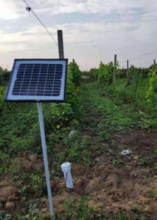 在线土壤温湿度监测站