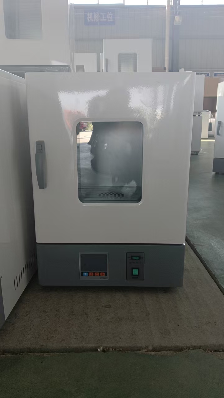 WGL立式系列电热鼓风干燥箱